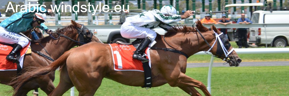arabic.windstyle.eu